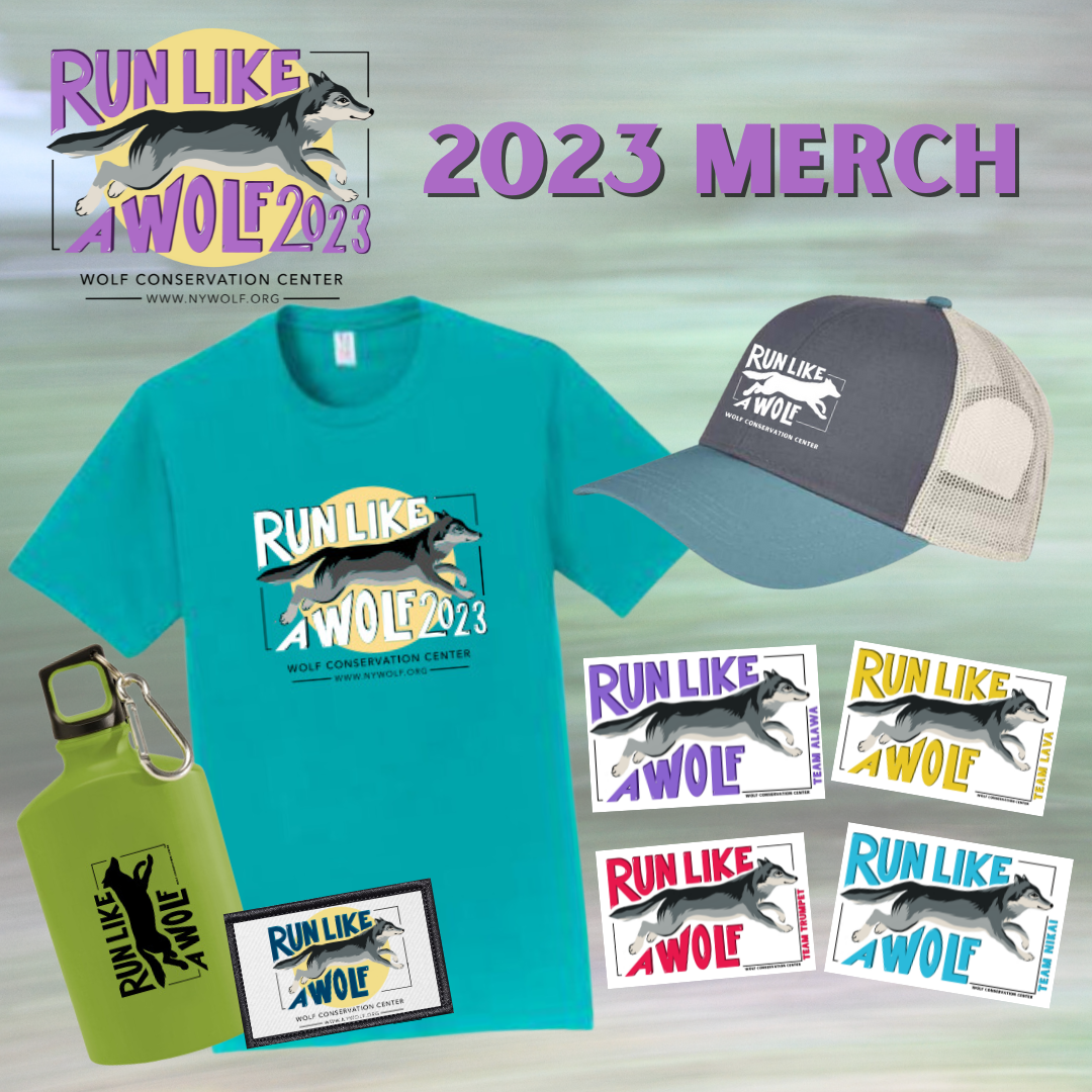 Wolf 2025 run shop
