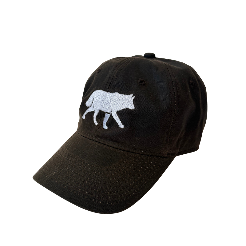 Brown Baseball Cap