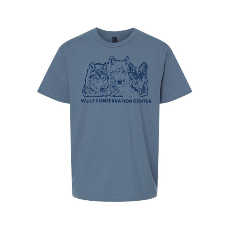 Youth Ambassador Indigo Blue T-Shirt