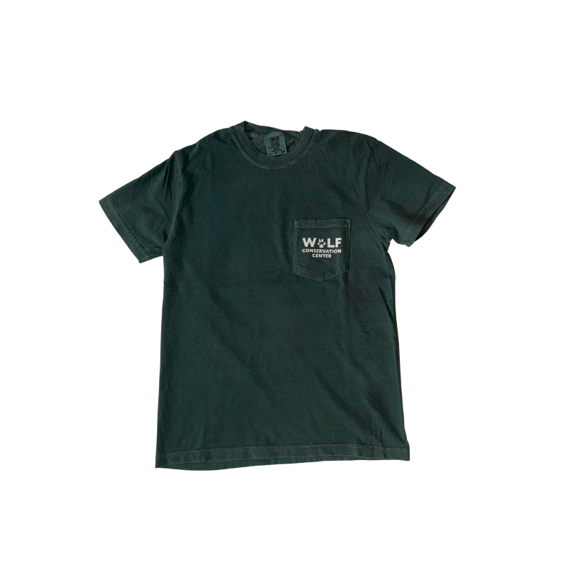 Pocket T-Shirt