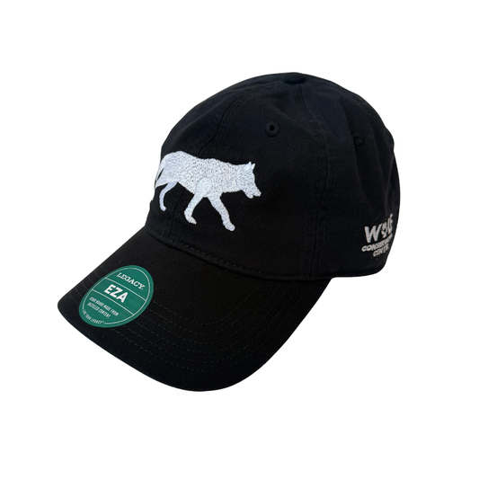 Black Baseball Cap