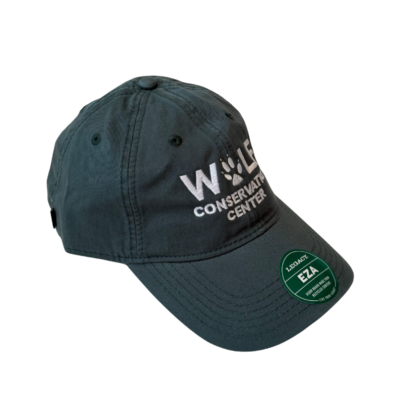 Evergreen Forrest Wolf Conservation Center Hat