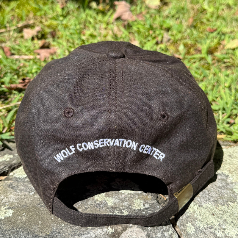 Brown Baseball Cap