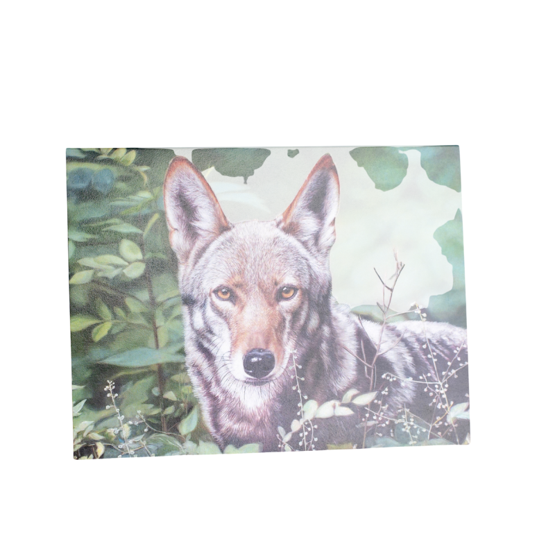 Note Cards
