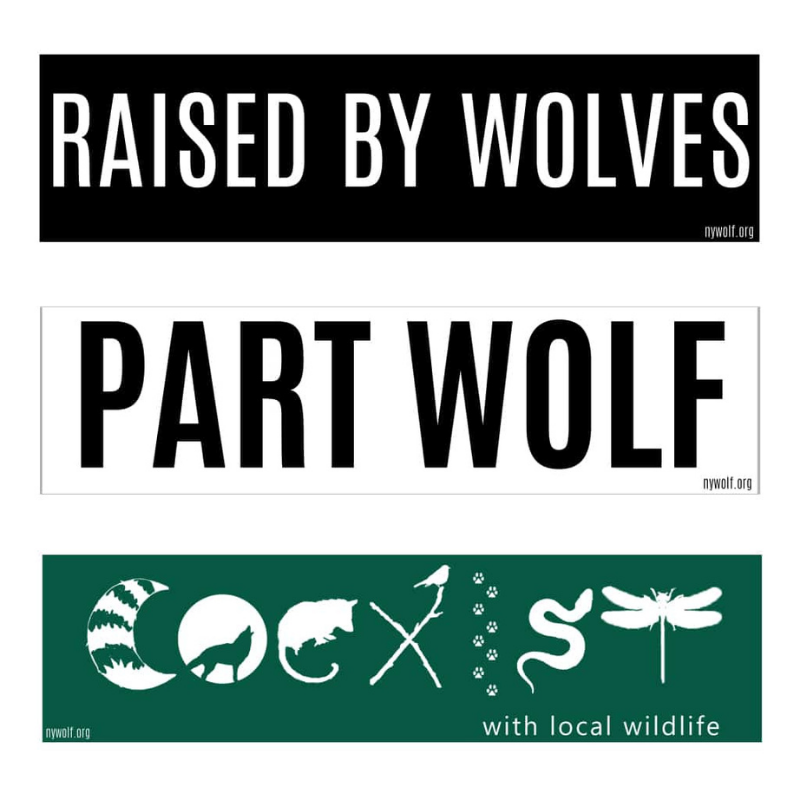 Slogan Bumper Stickers