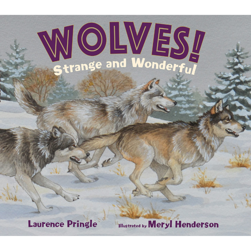 Wolves! Strange and Wild