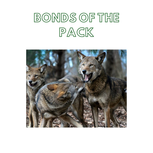 Week 7: Bonds of the Pack