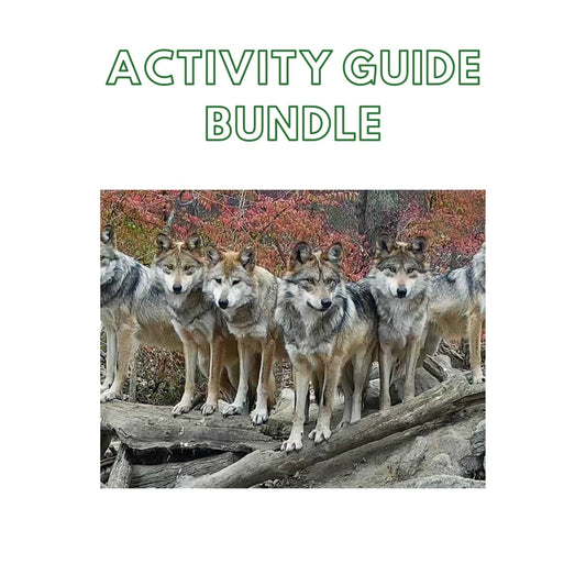 Guide Bundle: Weeks 1-8