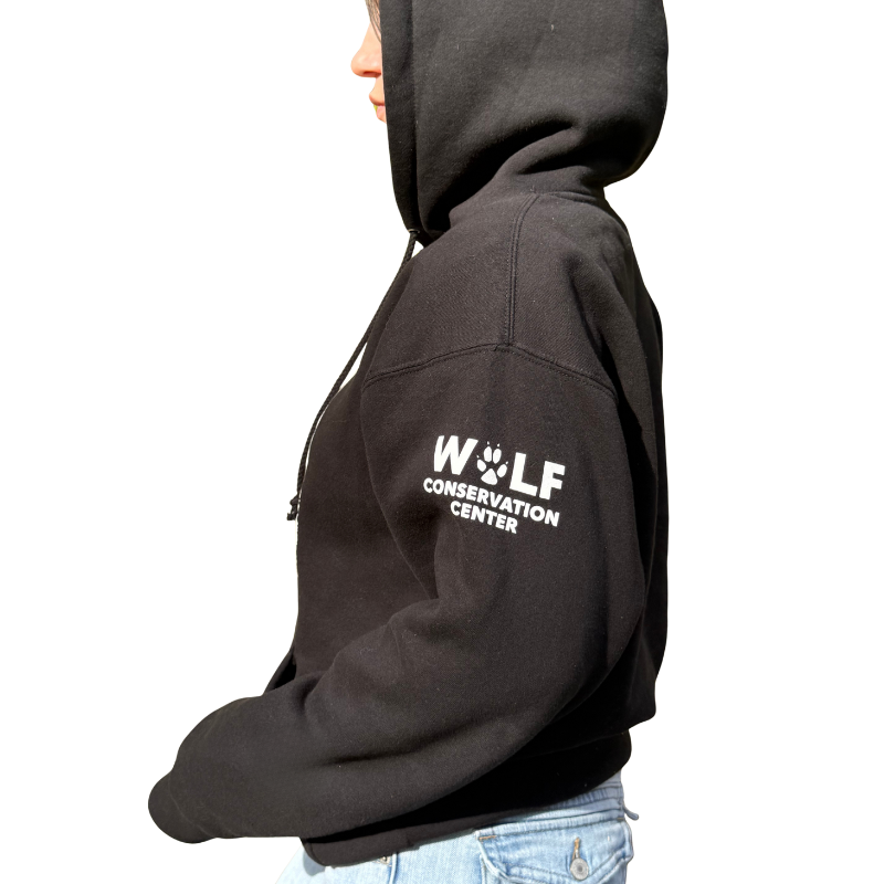 Silas Heavy Weight Hooded Sweatshirt