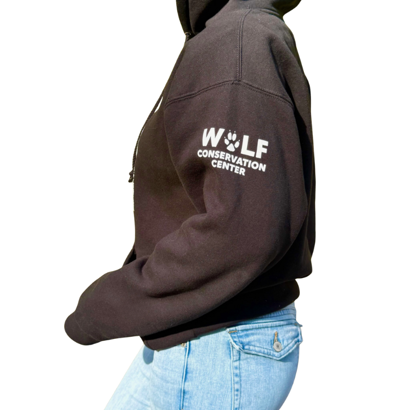 Silas Heavy Weight Hooded Sweatshirt