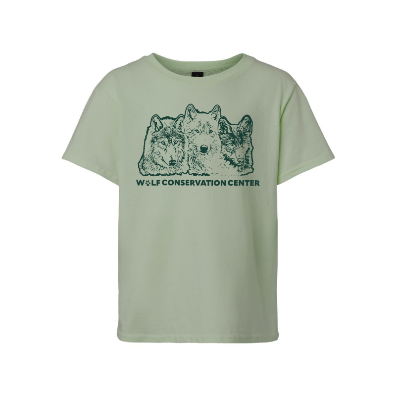 Youth Ambassador Sage Green T-Shirt