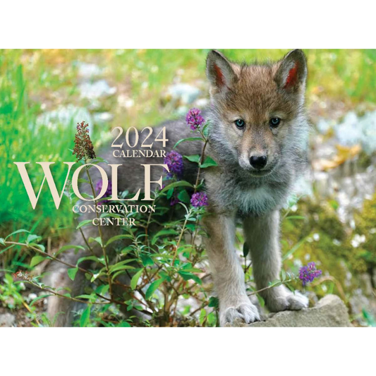 2024 Wolf Center Calendar
