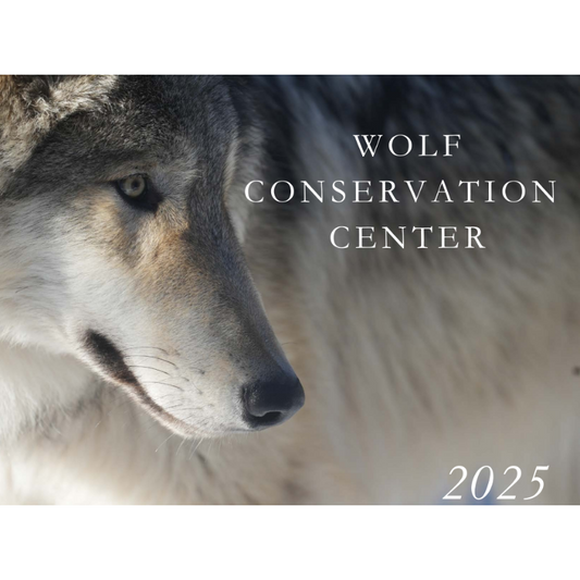 2025 Wolf Center Calendar