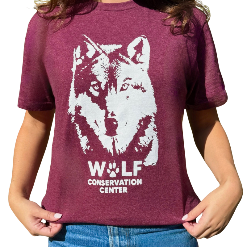 Silas T-Shirt
