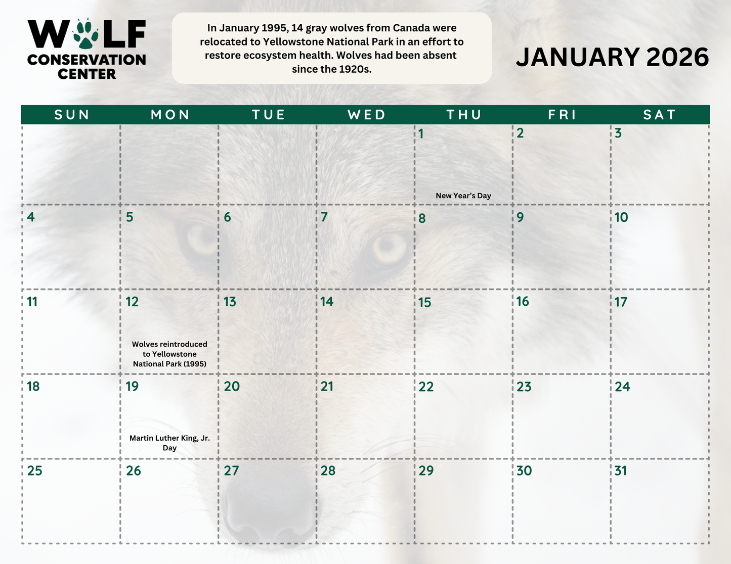 2026 Calendar Pre Order: Shipping by 11/19