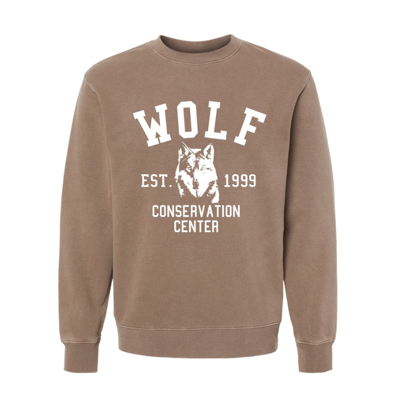 Classic Varsity Crewneck
