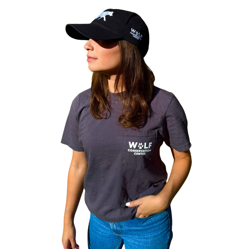 Pocket T-Shirt
