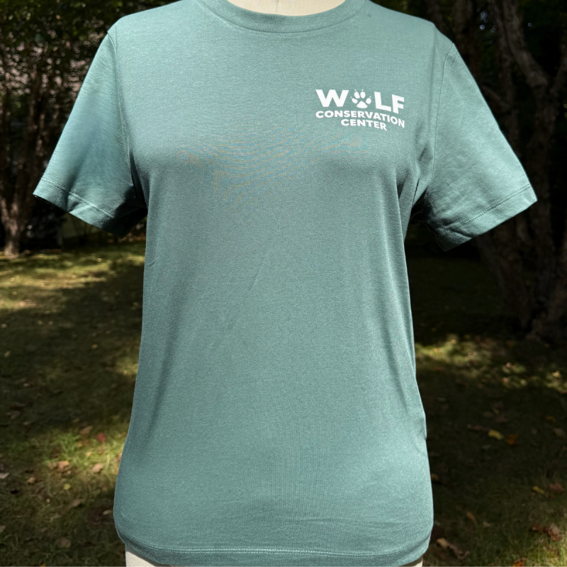 Classic Logo T-Shirt Boxy Cut