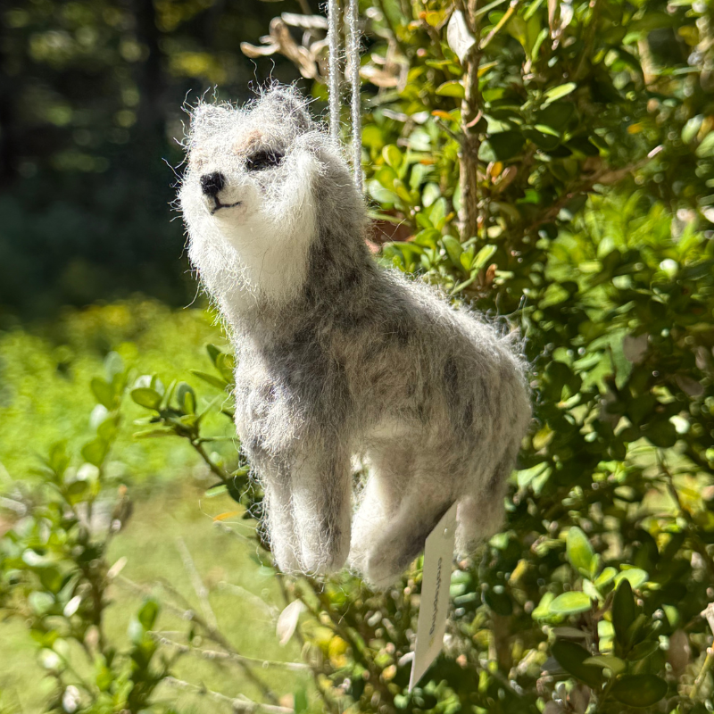 Mexican Gray Wolf Ornament