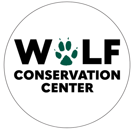 WCC Logo Magnet