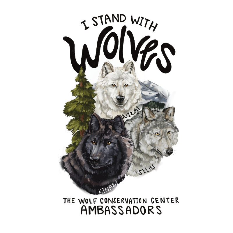 Ambassador Wolves Tech Sticker