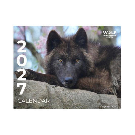 2027 Wolf Conservation Center Calendar: Pre-Order