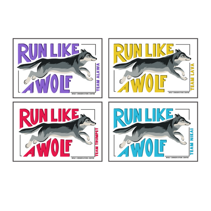 2023 Run Like a Wolf Stickers – Wolf Conservation Center