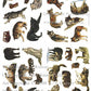Wild Stickers - Wolves