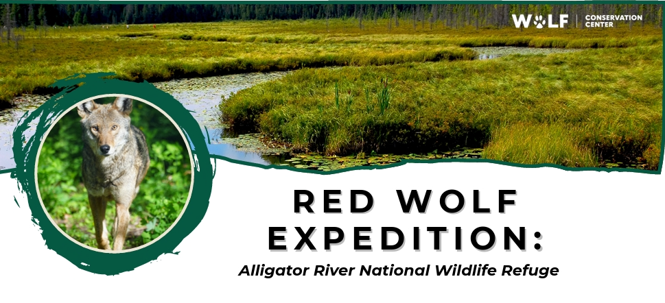 Learning Unit: Red Wolf Expedition