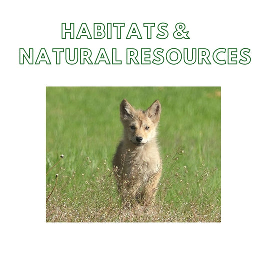 Week 2: Habitats and Natural Resources
