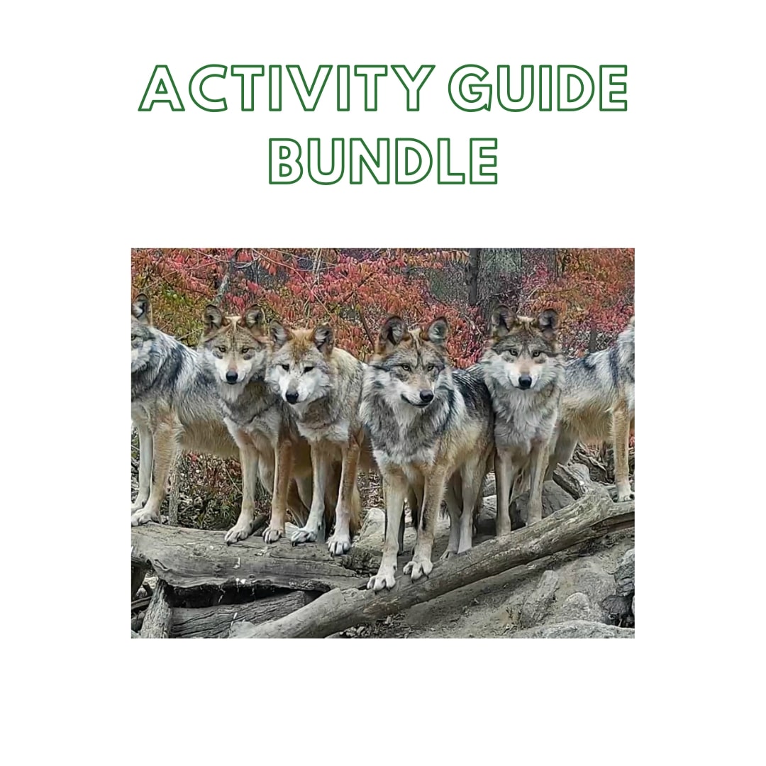 Guide Bundle: Weeks 1-8
